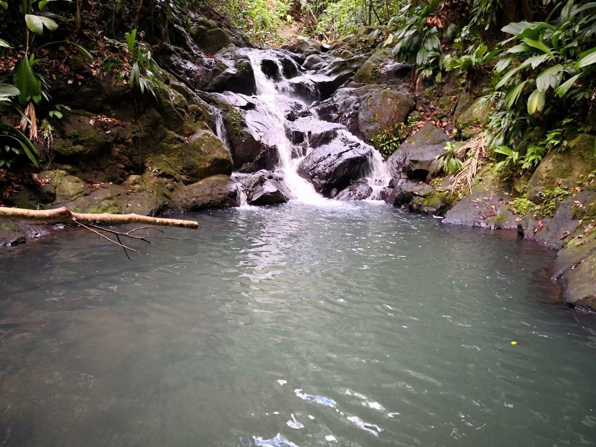 Duplex La Riviere Villa Deshaies Luaran gambar